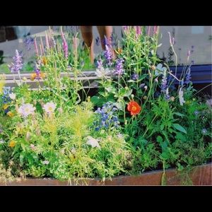 Meet your Posher, Kara